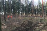 Vorbereitung auf den Ernstfall