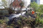 Buschfeuer in Ampleben