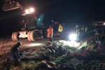 Schwierige Tierrettung für die Feuerwehren Binder und Wartjenstedt