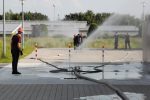 Mission Küken erfolgreich beendet